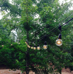 25' Suspended Black Commercial Grade stringer e17 Base