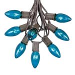 C9 25 Light String Set with Teal Bulbs on Brown Wire