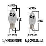 25 Light String Set with Clear Transparent C7 Bulbs on Black Wire