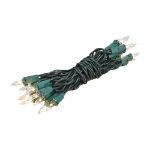 Non Connectable Clear Green Wire Mini Lights 20 Light 8.5' 