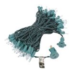 Connect 10 Clear Christmas Mini Lights, 100 Light, 50 Feet Long, Green Wire