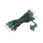 Clear 20 Light 6.5' Long Green Wire Christmas Mini Lights