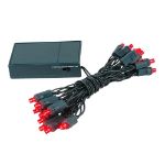 20 LED Battery Operated Lights Red Green Wire