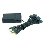 20 LED Battery Operated Lights Warm White Green Wire