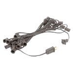25 Light String Set with Blue Transparent C7 Bulbs on Brown Wire