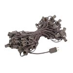 100 G40 Globe String Light Set with Clear Bulbs on Brown Wire