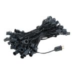 100 G40 Globe String Light Set with Green Bulbs on Black Wire