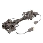 25 G50 Globe Light String Set with Blue Bulbs on Brown Wire