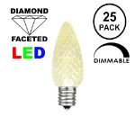 25 Light String Set with Warm White LED C7 Bulbs on Green Wire