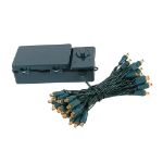 50 LED Battery Operated Lights Amber on Green Wire