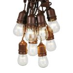 50 LED S14 Warm White Commercial Grade Suspended Light String Set on 100' of Brown Wire 
