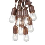 50 Clear S14 Commercial Grade Suspended Light String Set on 100' of Brown Wire 