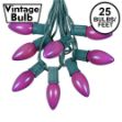 C9 25 Light String Set with Ceramic Purple Bulbs on Green Wire