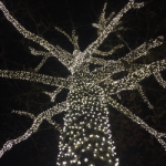 Commercial Grade Wide Angle 50 LED Pure White 25' Long on Black Wire