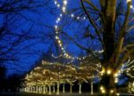50 LED Warm White LED Christmas Lights 11' Long on White Wire