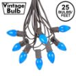 25 Light String Set with Blue Ceramic C7 Bulbs on Brown Wire