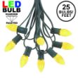 25 Light String Set with Yellow/Gold LED C7 Bulbs on Green Wire