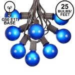 25 G50 Globe Light String Set with Blue Bulbs on Brown Wire