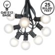 25 G40 Globe String Light Set with Frosted White Bulbs on Black Wire