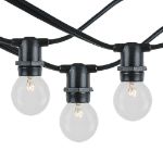 25 Clear G30 Commercial Grade Candelabra Base Light Set - Black Wire