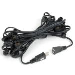 25 Clear G40 Commercial Grade Candelabra Base Light Set - Black Wire