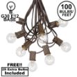 100 G30 Globe String Light Set with Clear Bulbs on Brown Wire