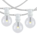 100 Warm White LED G40 Commercial Grade Candelabra Base Light Set - White Wire