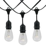 50 S14 Clear Commercial Grade Suspended Light String Set on 100' of Black Wire