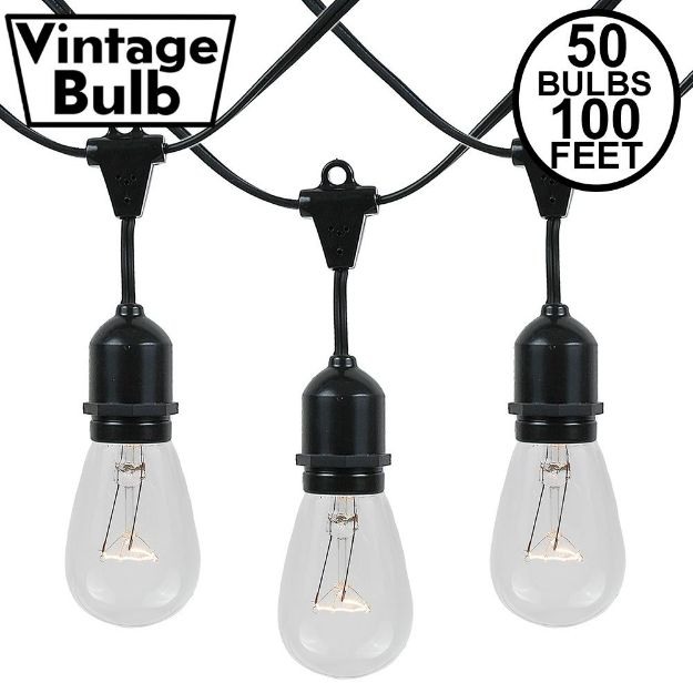 50 S14 Clear Commercial Grade Suspended Light String Set on 100' of Black Wire