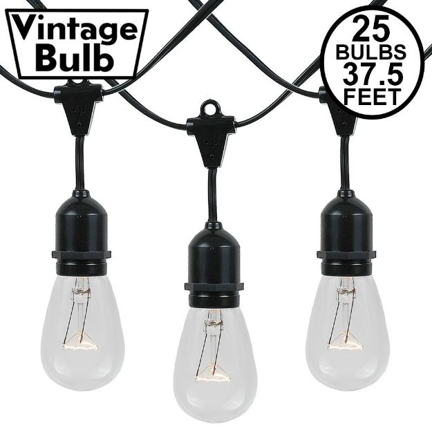 25 Clear S14 Commercial Grade Suspended Light String Set on 37.5' of Black Wire 