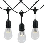 25 LED S14 Warm White Commercial Grade Suspended Light String Set on 37.5' of Black Wire 