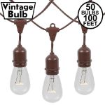 50 Clear S14 Commercial Grade Suspended Light String Set on 100' of Brown Wire 