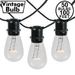 50 Clear S14 Commercial Grade Light String Set on 100' of Black Wire 
