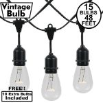 15 Clear S14 Commercial Grade Suspended Light String Set on 48' of Black Wire