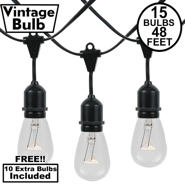 15 Clear S14 Commercial Grade Suspended Light String Set on 48' of Black Wire