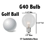 100 G40 Globe String Light Set with Clear Bulbs on Brown Wire