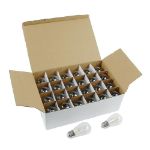 24 Warm White Plastic LED S14 Commercial Grade Suspended Light String Set on 48' of White Wire Shatterproof