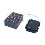 Battery Operated LED Micro Fairy Light Set Red***On Sale***