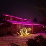 25 Light String Set with Purple Ceramic C7 Bulbs on Brown Wire