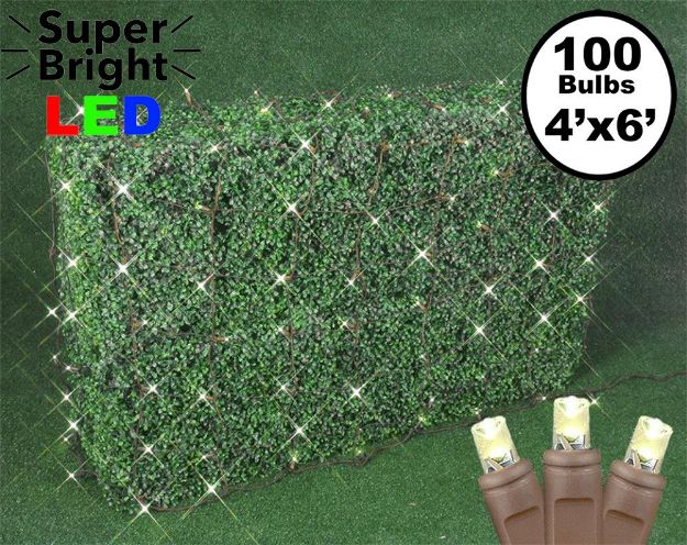 Warm White LED Net Lights 4x6 Brown Wire