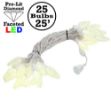 25 Warm White LED C9 Pre-Lamped String Lights on White Wire
