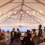 24 LED Warm White S14 Commercial Grade Suspended Light String Set on 48' of White Wire 