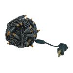 Commercial Grade Wide Angle 50 LED Amber 25' Long on Black Wire