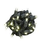 Commercial Grade Wide Angle 50 LED Warm White 25' Long on Black Wire
