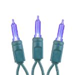35 Light Traditional T5 Purple LED Mini Lights Green Wire