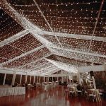 Commercial Grade Wide Angle 100 LED Pure White 34' Long White Wire