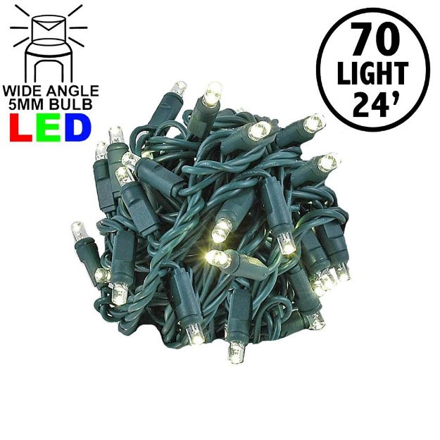 Commercial Grade Wide Angle 70 LED Warm White 24' Long on Green Wire
