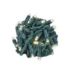 *NEW* TrueTwinkle® LED Christmas Lights 50 LED Warm White 25' Long Green Wire