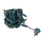 *NEW* TrueTwinkle® LED Christmas Lights 50 LED Multi Color 25' Long Green Wire