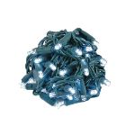 *NEW* TrueTwinkle LED Christmas Lights 50 LED Pure White 25' Long Green Wire